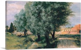 Building Site With Willows 1846-1-Panel-40x26x1.5 Thick