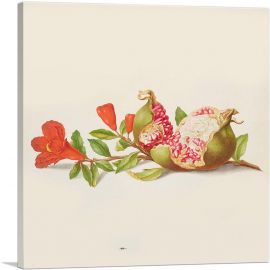 Branch Of Pomegranate 1705-1-Panel-26x26x.75 Thick
