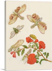 Branch Of Pomegranate With Lanternfly Cicada 1702-1-Panel-26x18x1.5 Thick