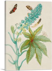 Castor Oil Plant With Ricini Longwing Butterfly 1702-1-Panel-40x26x1.5 Thick