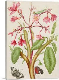 Frangipani Plant With Red Cracker Butterfly 1702-1-Panel-12x8x.75 Thick