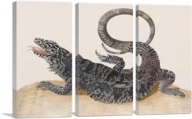 Golden Tegu Lizard 1700-3-Panels-60x40x1.5 Thick
