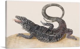 Golden Tegu Lizard 1700-1-Panel-40x26x1.5 Thick