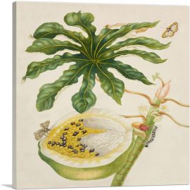 Papapya Plant With Nymphidium Butterfly 1702-1-Panel-12x12x1.5 Thick