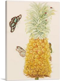 Ripe Pineapple With Dido Longwing Butterfly 1702-1-Panel-12x8x.75 Thick