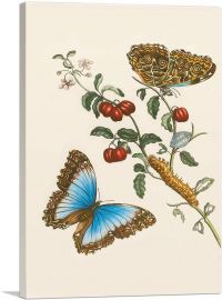 Barbados Cherry Tree With a Moth-1-Panel-40x26x1.5 Thick