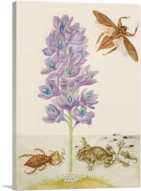 Water Hyacinth Marbled Tree Frogs Giant Water Bugs 1702-1-Panel-26x18x1.5 Thick