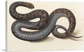 A Snake-1-Panel-12x8x.75 Thick