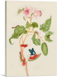Branch Of Achiote With Firetip Butterfly 1702-1-Panel-18x12x1.5 Thick