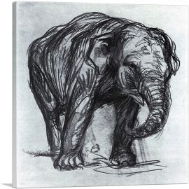 Elephant 1907-1-Panel-18x18x1.5 Thick