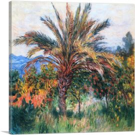 Palm Tree At Bordighera 1884-1-Panel-18x18x1.5 Thick