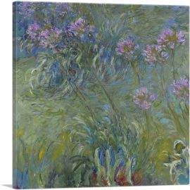 Agapanthus Flowers-1-Panel-36x36x1.5 Thick