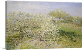 Spring - Fruit Trees in Bloom-1-Panel-40x26x1.5 Thick