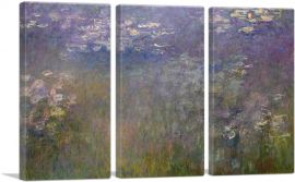 Water Lilies 1915-1926-3-Panels-90x60x1.5 Thick