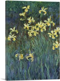 Yellow Irises-1-Panel-26x18x1.5 Thick