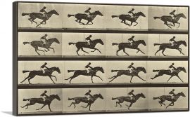 Animal Locomotion - Race Horse-1-Panel-60x40x1.5 Thick