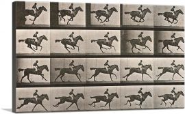 Animal Locomotion - The Gallop 1887 (2)-1-Panel-12x8x.75 Thick