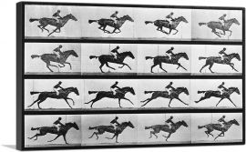 16 Frames of Racehorse-1-Panel-60x40x1.5 Thick