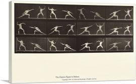 The Human Figure in Motion - Fencing-1-Panel-26x18x1.5 Thick