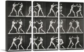 Two Men Boxing 1887-3-Panels-90x60x1.5 Thick