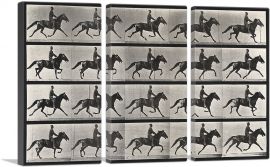 A Horse Trotting 1887-3-Panels-60x40x1.5 Thick