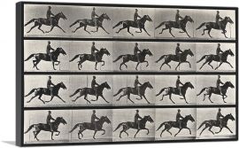 A Horse Trotting 1887-1-Panel-40x26x1.5 Thick