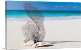 Coral on the Sea Beach-1-Panel-60x40x1.5 Thick