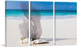 Coral on the Sea Beach-3-Panels-60x40x1.5 Thick