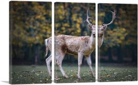 Deer In Forest Home decor-3-Panels-60x40x1.5 Thick