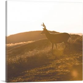 Deer In Wild Home Decor-1-Panel-12x12x1.5 Thick
