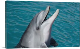 Dolphin Home decor-1-Panel-26x18x1.5 Thick