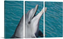 Dolphin Home decor-3-Panels-90x60x1.5 Thick
