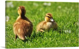 Ducklings In Yard Home decor-1-Panel-18x12x1.5 Thick