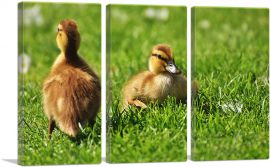 Ducklings In Yard Home decor-3-Panels-90x60x1.5 Thick
