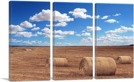 Field Agriculture Home decor-3-Panels-60x40x1.5 Thick