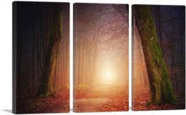 Forest Way Sunset Home decor-3-Panels-60x40x1.5 Thick