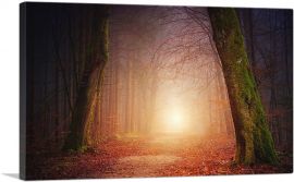 Forest Way Sunset Home decor-1-Panel-60x40x1.5 Thick