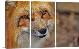 Fox' Face Home decor-3-Panels-90x60x1.5 Thick