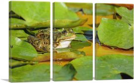 Frog On Lotus Home decor-3-Panels-60x40x1.5 Thick