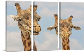 Giraffe Safari Zoo decor-3-Panels-90x60x1.5 Thick