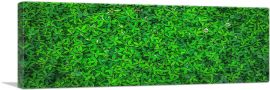 Grass With Flowers-1-Panel-36x12x1.5 Thick