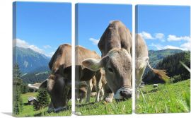 Grey Cows In The Mountain Home decor-3-Panels-90x60x1.5 Thick