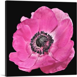 Anemone Flower Home decor-1-Panel-36x36x1.5 Thick