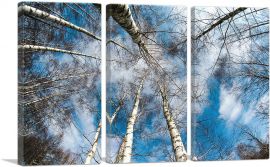 High Trees Forest Home Decor Rectangle-3-Panels-90x60x1.5 Thick