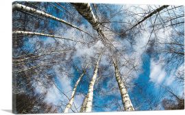 High Trees Forest Home Decor Rectangle-1-Panel-60x40x1.5 Thick