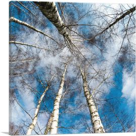 High Trees Forest Home Decor Square-1-Panel-12x12x1.5 Thick