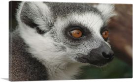 Lemur Face Home decor-1-Panel-40x26x1.5 Thick