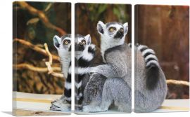Lemurs Home decor-3-Panels-60x40x1.5 Thick