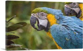 Macaw Home Decor Rectangle-1-Panel-18x12x1.5 Thick