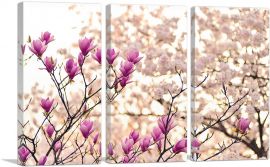 Magnolia and Cherry Blossoms Home decor-3-Panels-90x60x1.5 Thick